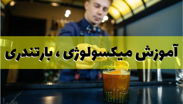 آموزش میکسولوژی و بارتندری