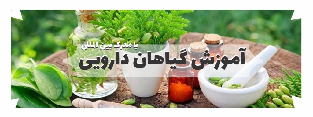 آموزش گیاهان دارویی
